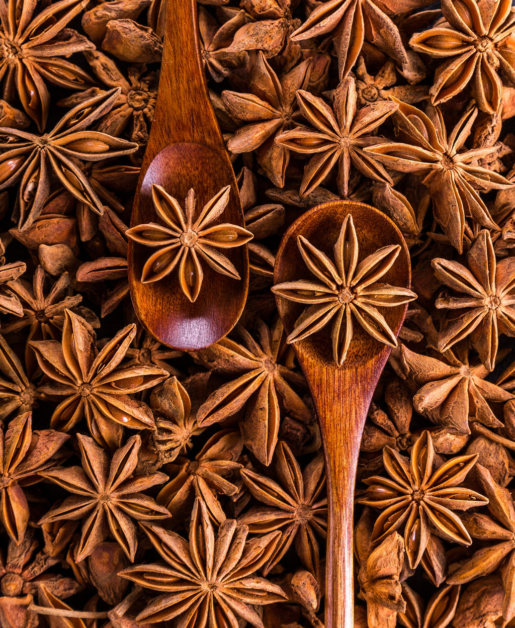 Star Anise | चक्र फूल - 350g