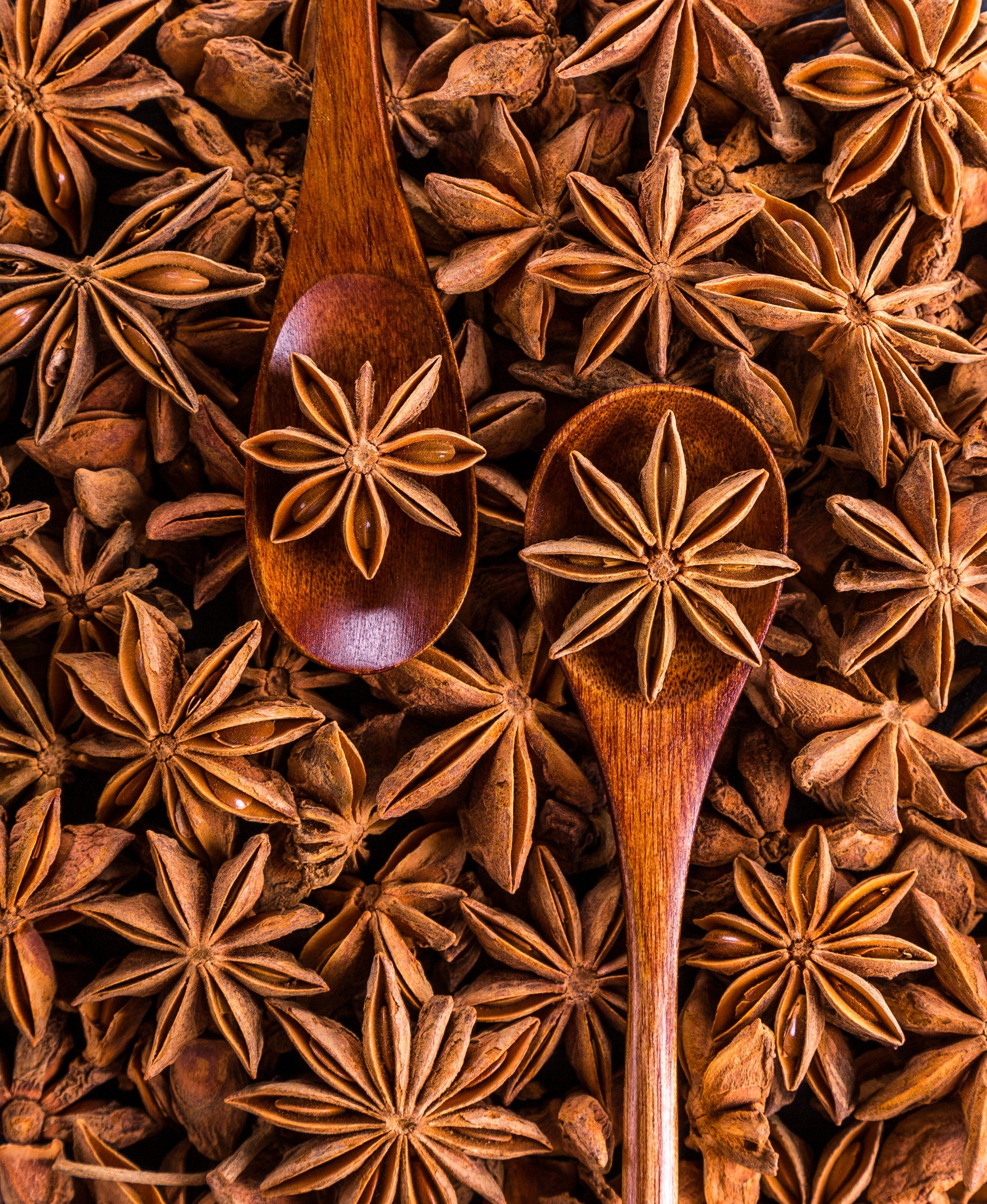 Star Anise | चक्र फूल - 350g